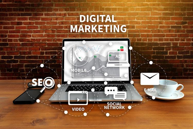 digital marketing services - SEO Agency in Bhopal