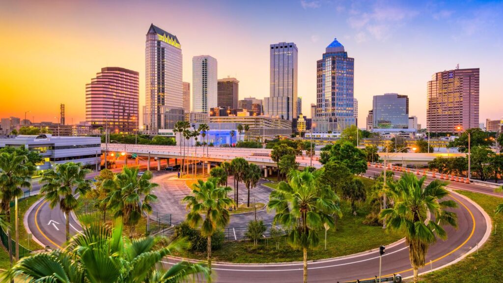 SEO Agency Tampa for Search Engine Optimization
